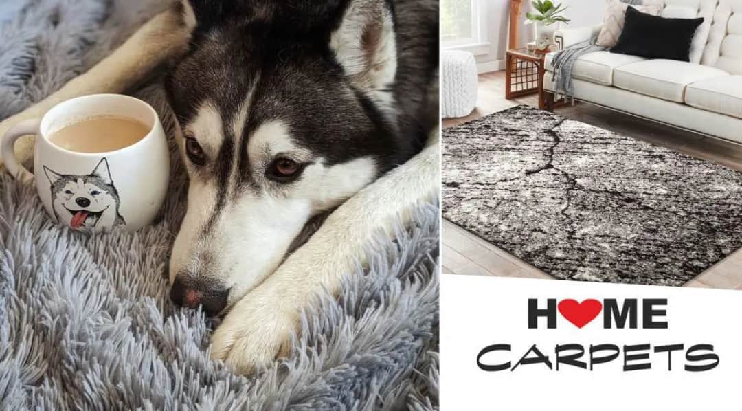 Jak usunąć sierść z dywanu skutecznie? Poznaj najprostsze metody!