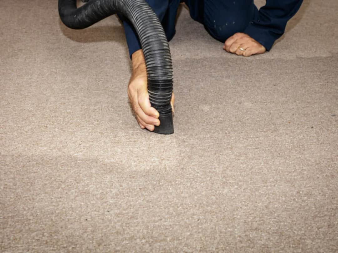 Jak wysuszyć dywan skutecznie po zalaniu i uniknąć pleśni?